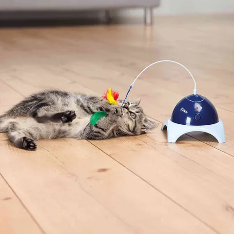 Accesorios para gatos